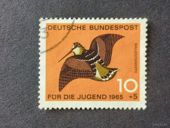 Германия 1965. Вальдшнеп