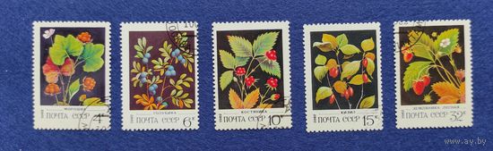 СССР, 1982, Дикие ягоды.