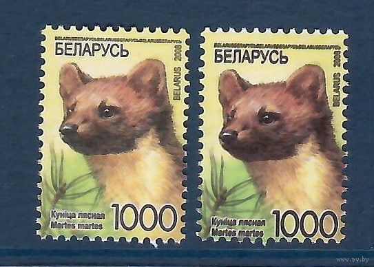 Одиннадцатый стандартный выпуск. Куница. Разный цвет и двойная печать