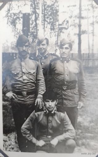 Фото в коллекцию