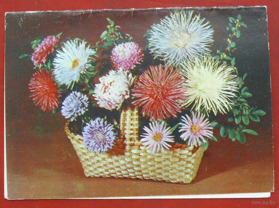 С днём рождения! Чистая. Двойная. 1980 года. Круцко. 1711.