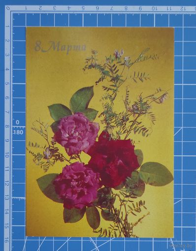 Почтовая карточка от 23.04.1990. "8 Марта". Фото И. Дергилева.