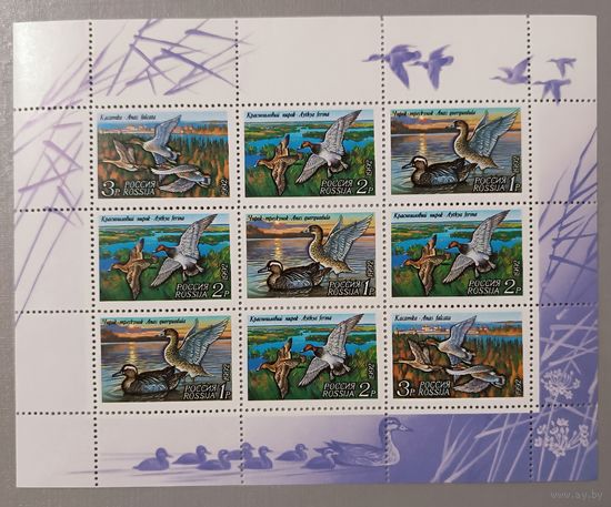 Утки. Фауна. Россия, 1992, лист