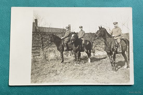 Фотооткрытка 1 МВ Германия офицеры в униформе на лошадях