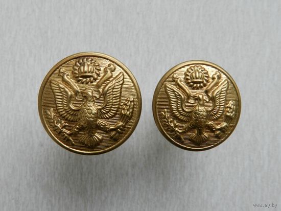 Две пуговицы США