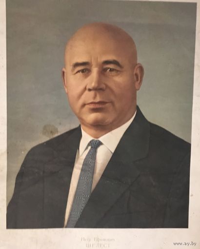 Плакат Пётр Ефимович Шелест 1964 год