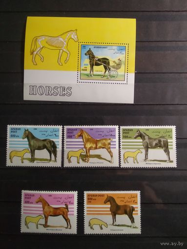 Афганистан 1996 г. Лошади.