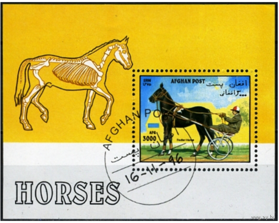 Фауна лошади Афганистан /AFGHAN 1996