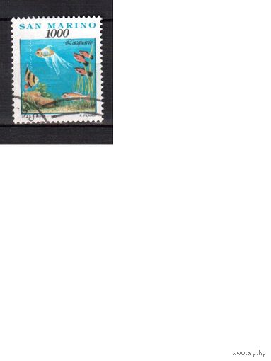 Сан-Марино-1991,(Мих.1482) ,  гаш.,  Фауна,