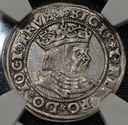 Грош 1529 года. Сигизмунд I Старый. Торунь. Экспертиза