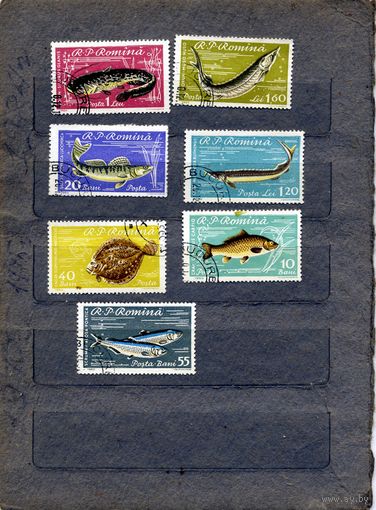 РУМЫНИЯ, 1960, РЫБЫ,  серия 7м, ** гашен