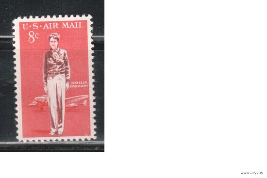 США-1963, (Мих.845),  *   ,  Авиапочта, Самолет, Авиация (одиночка)