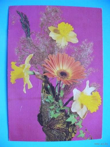 Открытка, Цветы (Польша), 1983, подписана.