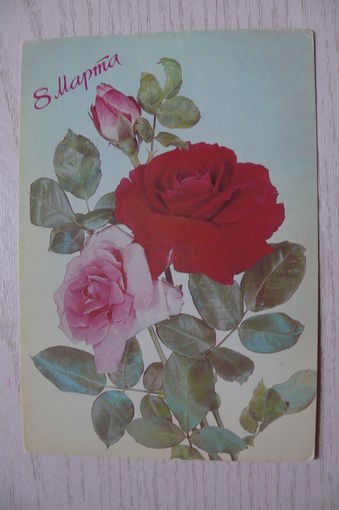 Дергилев И., 8 Марта; 1987, подписана.