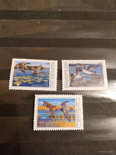 1990 СССР Загорский 6155-6157 чистая полная серия MNH** фауна птицы (c-13)