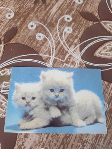 Календарик,котв,1994