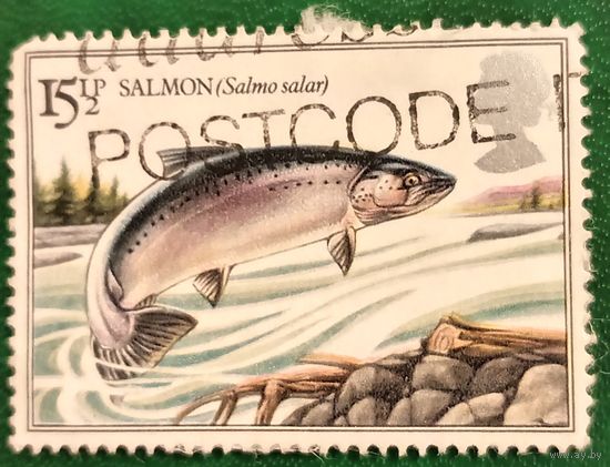 Великобритания 1983. Атлантический лосось