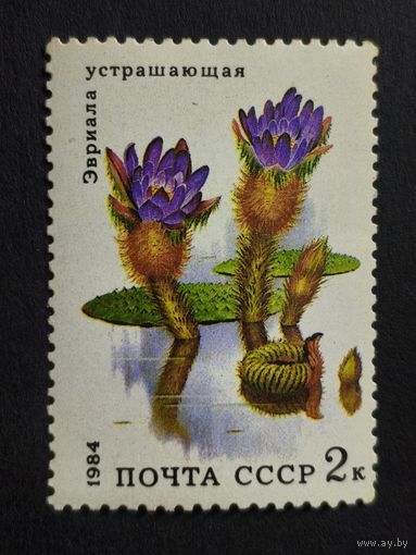 1984 СССР Водные цветы. Эвриала устращающая