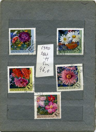 СССР, 1970,  ЦВЕТЫ   серия 5м  1970 (на "СКАНЕ" справочно приведены номера и цены по ЗАГОРСКОМУ))