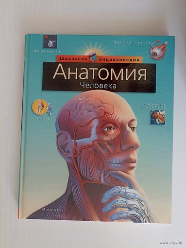 Анатомия человека Школьная энциклоаедия