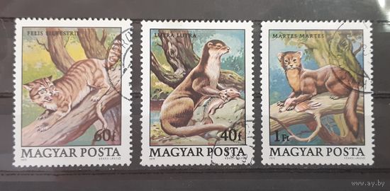 Венгрия. 1979 год. Фауна