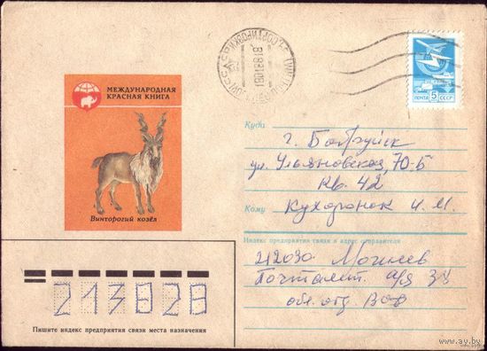1985 год Козёл винторогий