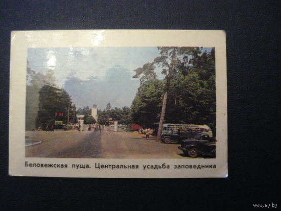 Календарик; БЕЛАВЕЖСКАЯ ПУЩА 1977