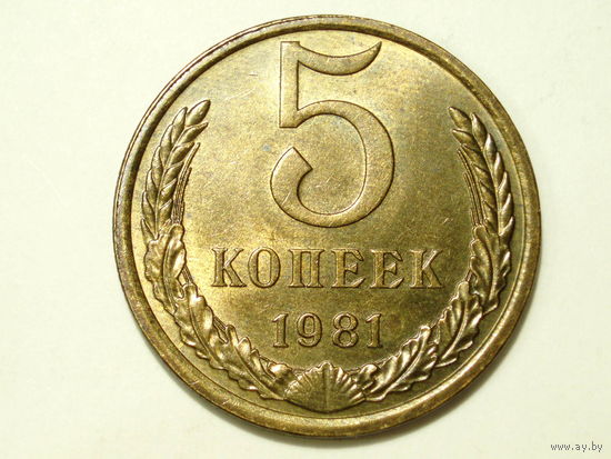 5 копеек 1981 aUNC #A