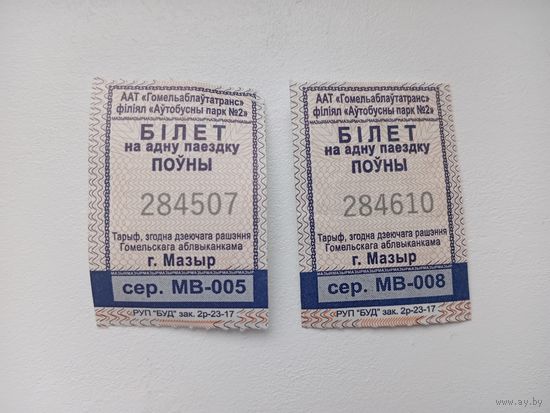 Билет на одну поездку. г. Мозырь. Два билета одним лотом