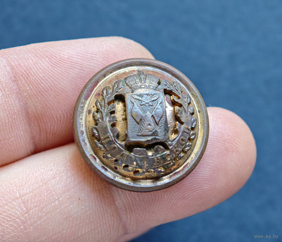 Пуговица РИ, Полтавская губ, большая, накладная, 1878-1917