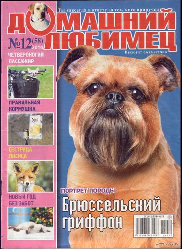 Домашний любимец #58