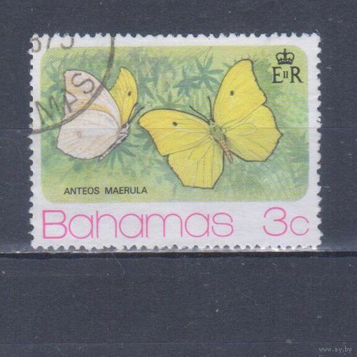 [1739] Багамы 1975. Фауна.Бабочки.3 с. Гашеная марка.