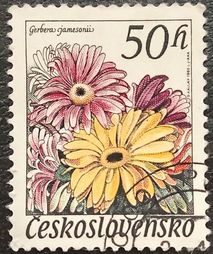 Чехословакия 1980. Флора. Герберы