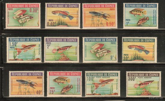 Гвинея-1964(Мих.214-225),  **,  Морская  Фауна ,Рыбы (полная серия)