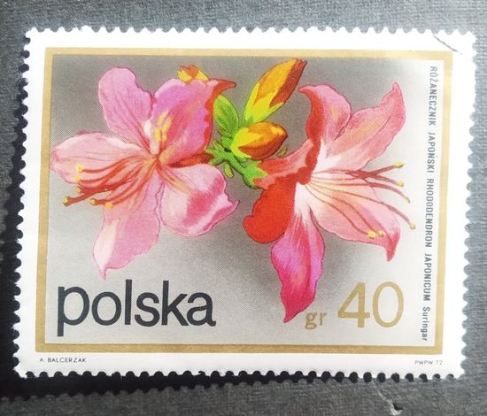 Марка Польша 1972 год Цветы