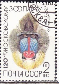 1984 СССР. Московский зоопарк. Фауна.