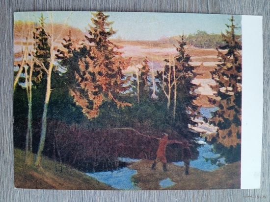 1957. Одинцов. Вечерние лучи