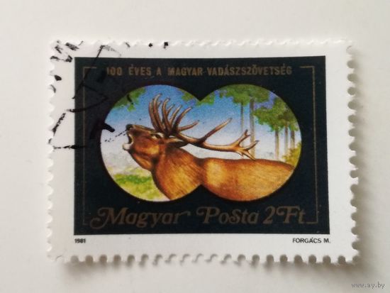 Венгрия 1981. Венгерская охотничья ассоциация. Полная серия