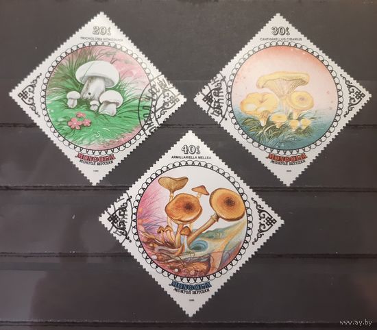 Монголия. 1985 год. Флора. Грибы