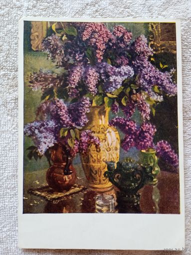 1956. Скулме. Сирень