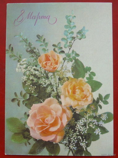 8 марта! Чистая. 1990 года. Фото Дергилева. 1545.