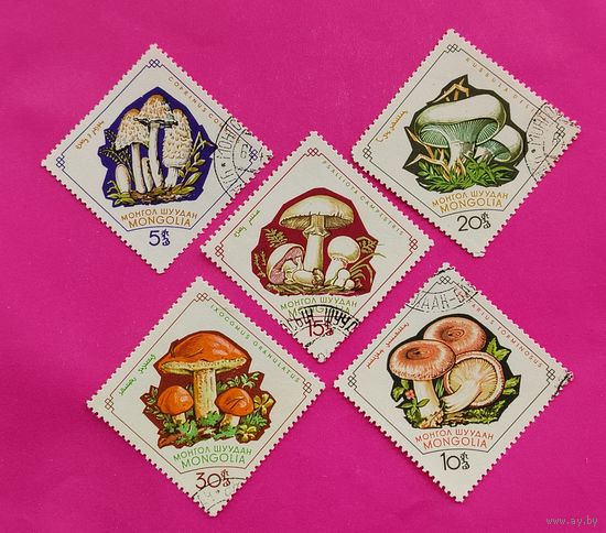 Монголия. Грибы. ( 5 марок ) 1964 года. 10-3.