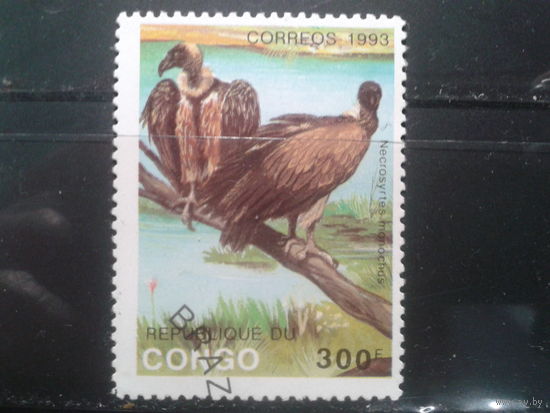 Конго , 1993. Сип черно-хохлатый