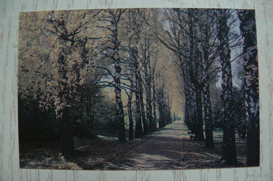 Календарик, 1989, Природа.