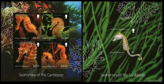 2015 Монтсеррат 1764-1767KL+1768/B169 Морская фауна - Морской конек 18,00 евро