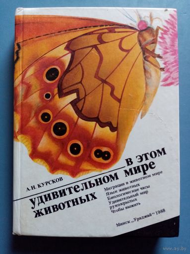 В этом удивительном мире животных. А. Курсков
