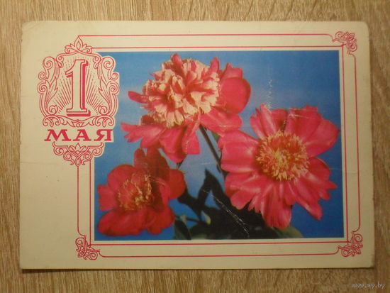 ПОДПИСАННАЯ ОТКРЫТКА СССР.  "1 МАЯ" фото. Г. КОСТЕНКО. 1975 год.