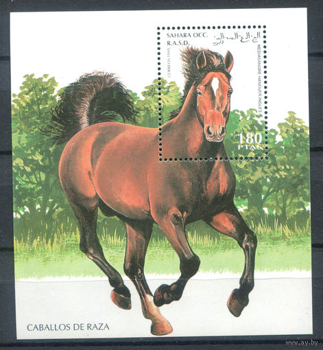 Западная Сахара - 1993г. - Лошади - полная серия, MNH - 1 блок