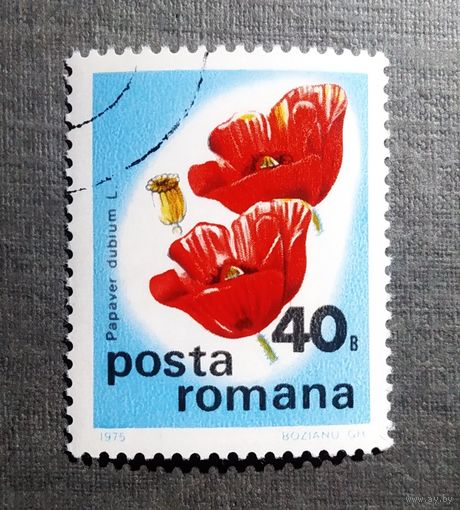 Марка Румыния 1975 год Цветы