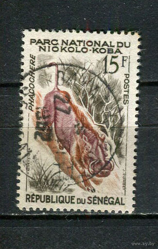 Сенегал - 1960 - Фауна. Африканский бородавочник 15Fr - [Mi.235] - 1 марка. Гашеная.  (Лот 22JA)-TG3P52